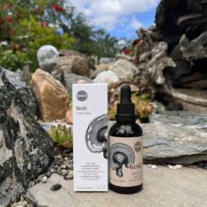 Rei&scaron;i - Ganoderma lucidum​